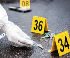 Investigación judicial